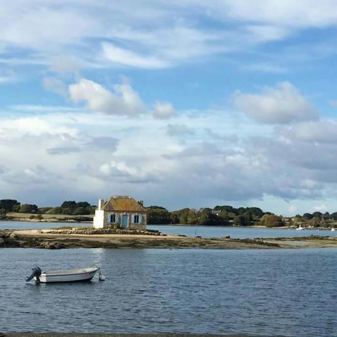 LanguidicDomaine Des Lauriers 20 Couchages别墅 外观 照片